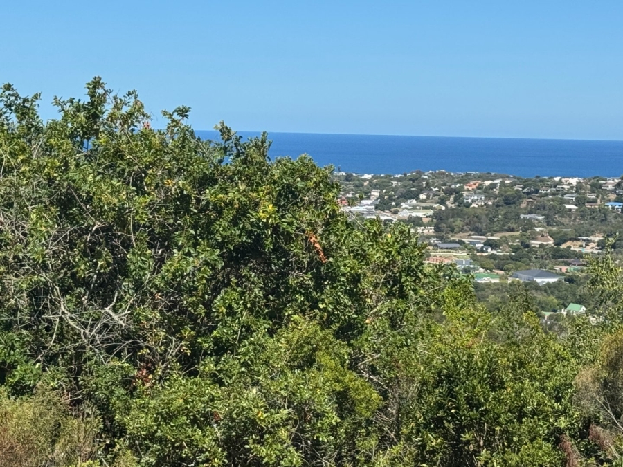 Commercial Property for Sale in Schoongezicht Western Cape